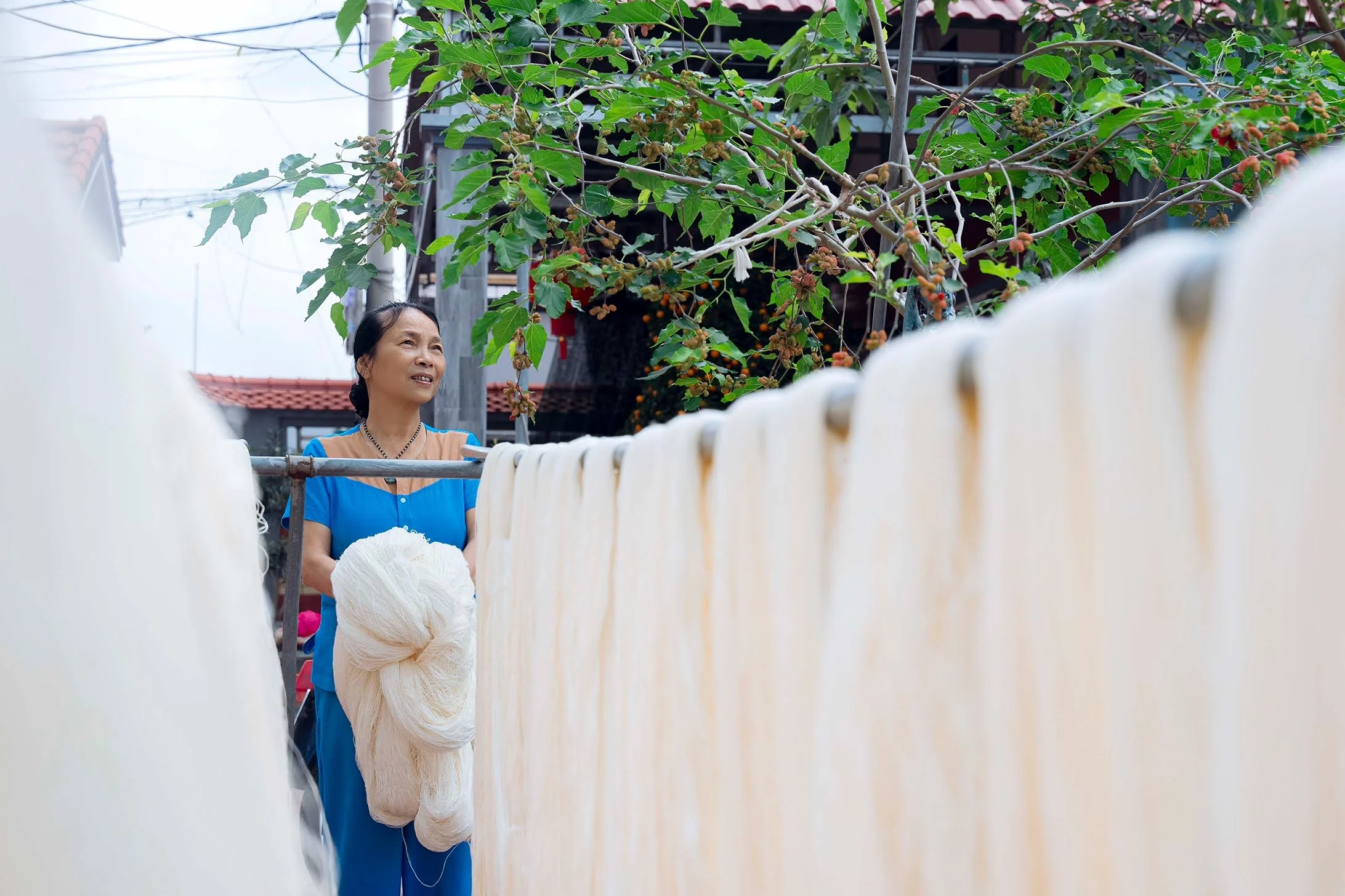 Sức mạnh của sợi tơ tằm: Điều kỳ diệu từ thiên nhiên